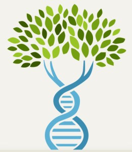 AncestryDNA